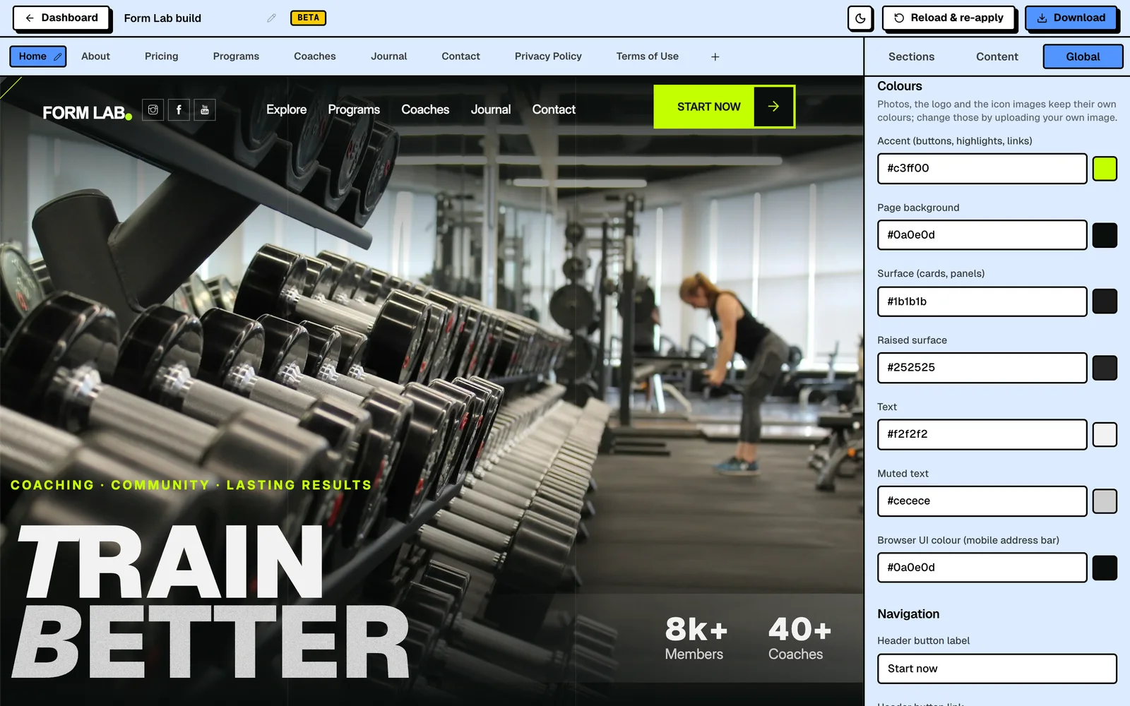 The Colours group in the builder's Global tab, with colour pickers for the accent, page background, surfaces and text