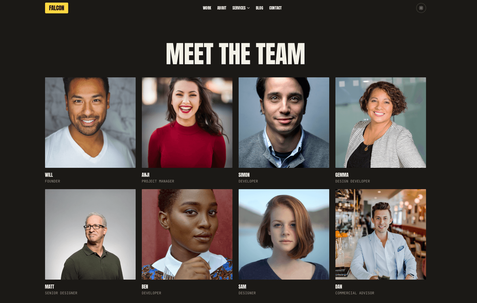 Falcon - Meet the team grid