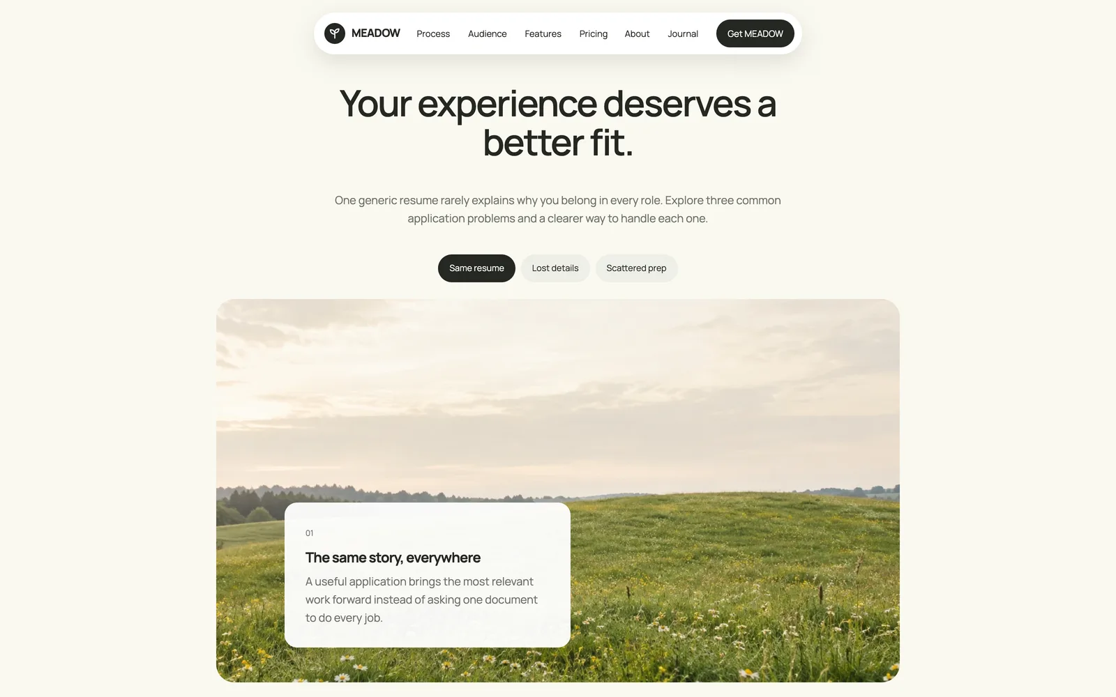 Meadow - Problem tabs